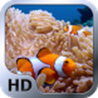 Sea Life HD / Sea life HD
