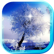 Winter Bäume HD Live Wallpaper