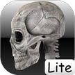 Menschliche Knochen Lite / Human bones lite