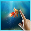 Goldfisch auf Ihrem Handy