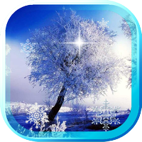 Winter Bäume HD Live Wallpaper