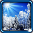 Winter Sonne HD Live Wallpaper