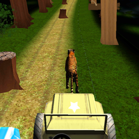 Tiger Run