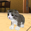 Kätzchen Katze Simulator 3D