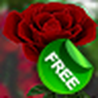 Rose Live Wallpaper 3D / 3D Rose Live Wallpaper Free
