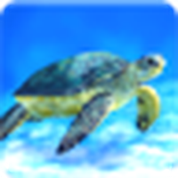 Meeresschildkröte Live Wallpaper / Sea Turtle Live Wallpaper