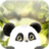 Panda Live Wallpaper kostenlos / Panda Chub LWP