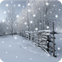 Winter Schnee Live Wallpaper Pro